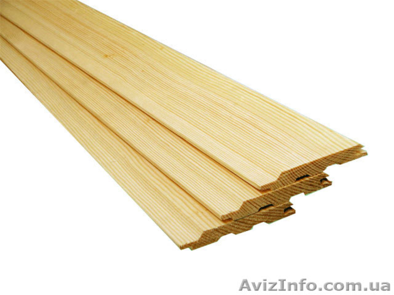 Лиственница сибирская Ровно Украина - <ro>Изображение</ro><ru>Изображение</ru> #1, <ru>Объявление</ru> #153194