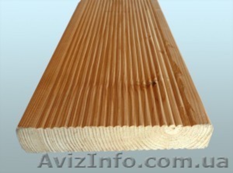 Лиственница сибирская Ровно Украина - <ro>Изображение</ro><ru>Изображение</ru> #4, <ru>Объявление</ru> #153194