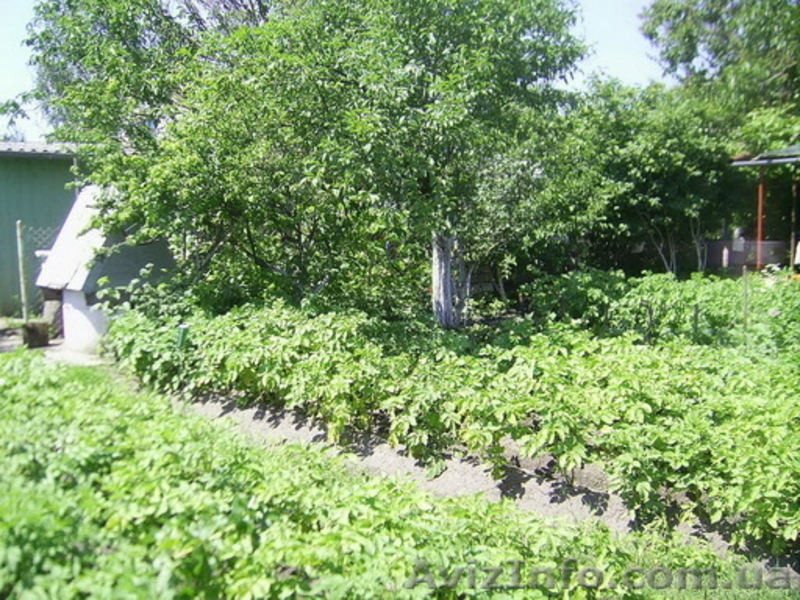 Продам дачу в Кам'яній Горі. Терміново. 5000у.е. - <ro>Изображение</ro><ru>Изображение</ru> #2, <ru>Объявление</ru> #778825