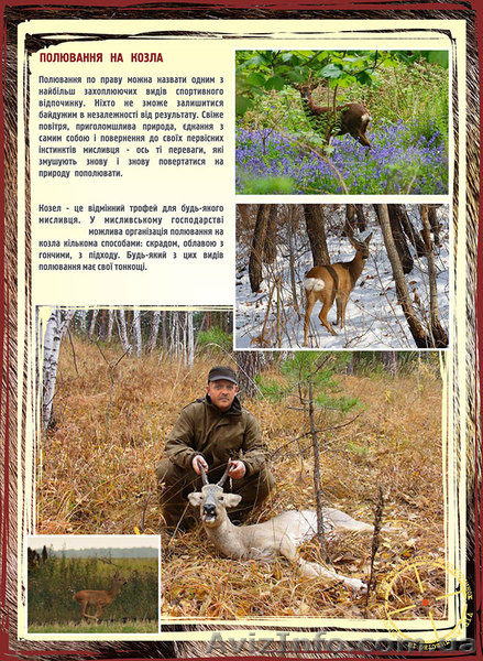 корпоративное право в охотничьем хозяйстве - <ro>Изображение</ro><ru>Изображение</ru> #2, <ru>Объявление</ru> #877808