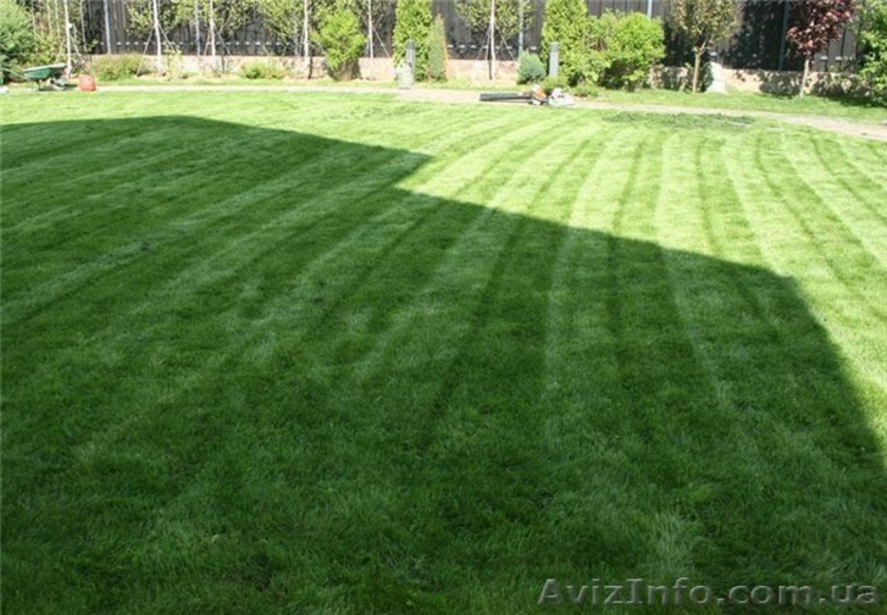 Стрижка газонів, скошування трави, послуги садівника - <ro>Изображение</ro><ru>Изображение</ru> #2, <ru>Объявление</ru> #895646