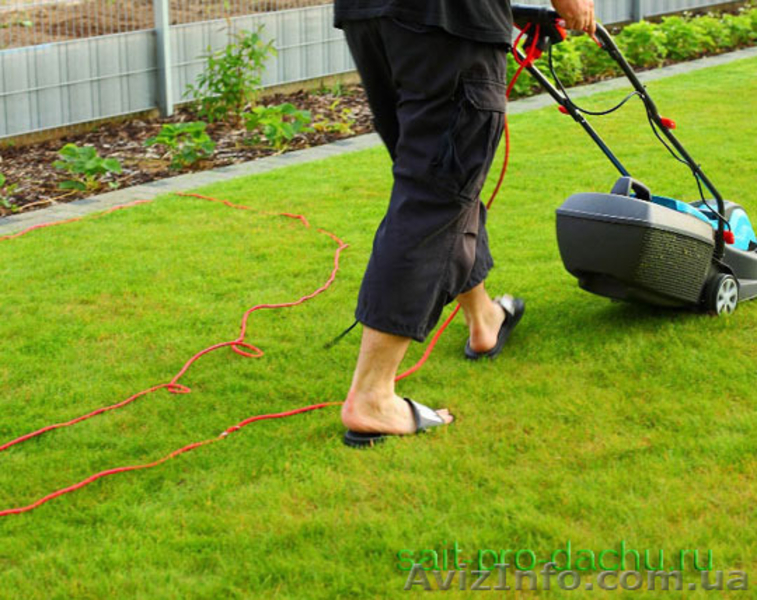 Стрижка газонів, скошування трави - <ro>Изображение</ro><ru>Изображение</ru> #7, <ru>Объявление</ru> #1082297