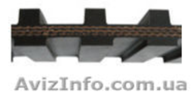 Ленты для транспортеров, замки на GRIMME - <ro>Изображение</ro><ru>Изображение</ru> #2, <ru>Объявление</ru> #1095646