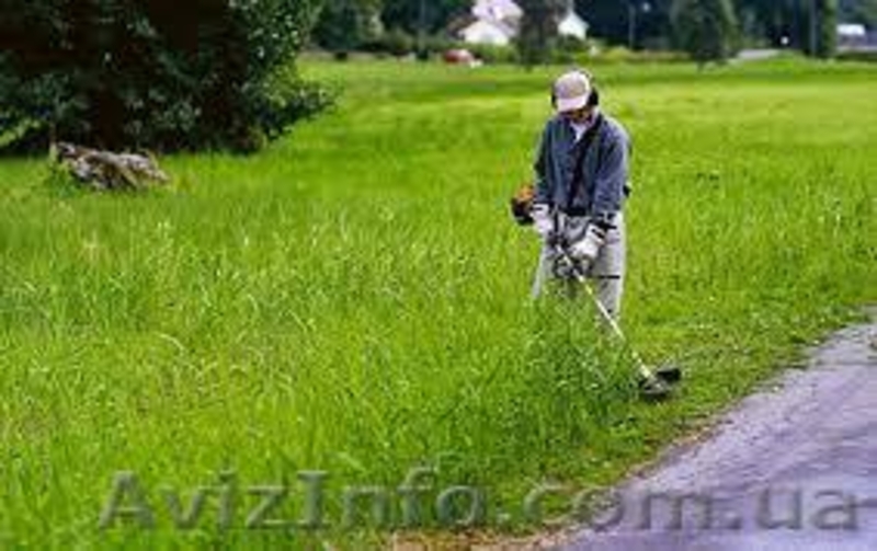 Косіння трави, стрижка газонів, повна передпродажна підготовка земельних ділянок - <ro>Изображение</ro><ru>Изображение</ru> #3, <ru>Объявление</ru> #1110093