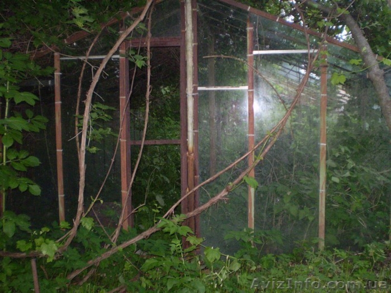 Дача в Новоукраинке с участком 6 соток (гараж, сарай, теплица) - <ro>Изображение</ro><ru>Изображение</ru> #4, <ru>Объявление</ru> #1165434