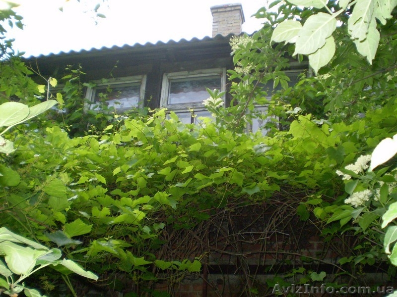 Дача в Новоукраинке с участком 6 соток (гараж, сарай, теплица) - <ro>Изображение</ro><ru>Изображение</ru> #2, <ru>Объявление</ru> #1165434