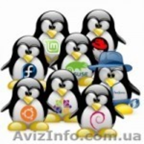 Admin- Мaster — это самый быстрый и качественный ремонт компьютеров - <ro>Изображение</ro><ru>Изображение</ru> #3, <ru>Объявление</ru> #1285060