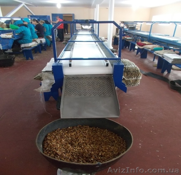 Изготавливаем под заказ перерабатывающие линии (орех, ягоды, овощи, фрукты)  - <ro>Изображение</ro><ru>Изображение</ru> #3, <ru>Объявление</ru> #1376198