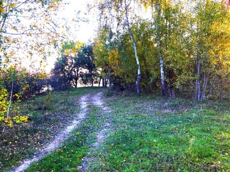 Ділянка над озером всього в 10 хвилинах від міста! - <ro>Изображение</ro><ru>Изображение</ru> #4, <ru>Объявление</ru> #1591911