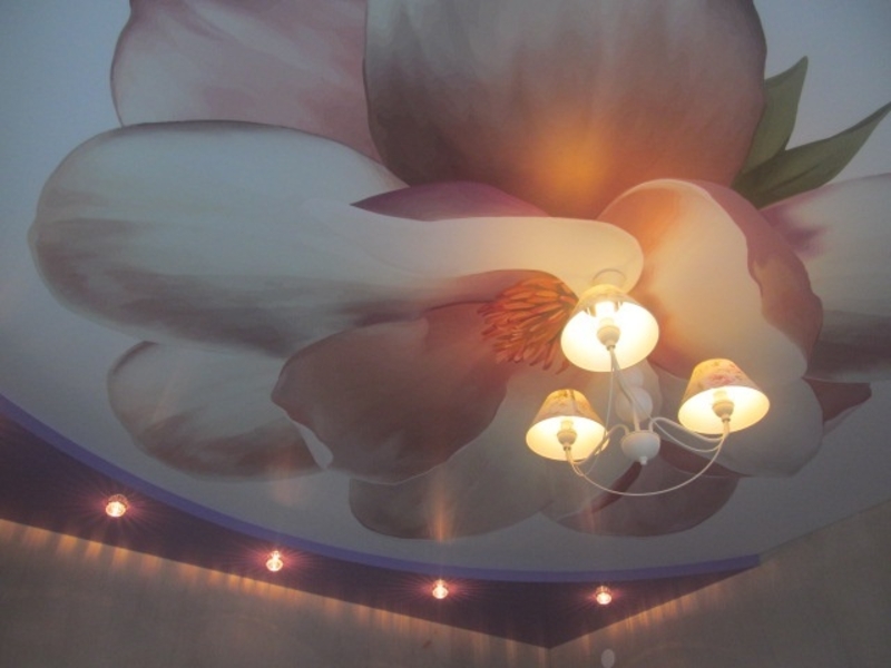 Натяжні стелі виробництва Німеччина та Китай  - <ro>Изображение</ro><ru>Изображение</ru> #3, <ru>Объявление</ru> #1650032