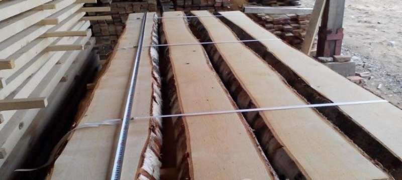 Купуєм дошку необрізну береза  - <ro>Изображение</ro><ru>Изображение</ru> #2, <ru>Объявление</ru> #1654773