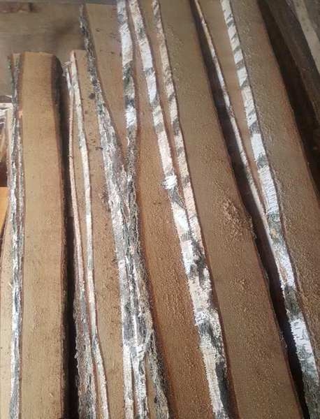 Купуєм дошку необрізну береза  - <ro>Изображение</ro><ru>Изображение</ru> #3, <ru>Объявление</ru> #1654773