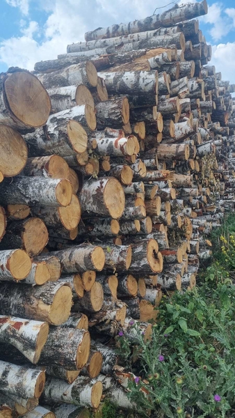 дрова рубані - <ro>Изображение</ro><ru>Изображение</ru> #3, <ru>Объявление</ru> #1739046