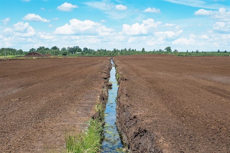 Продам торфобрикет, торфяний брикет - <ro>Изображение</ro><ru>Изображение</ru> #1, <ru>Объявление</ru> #1741610